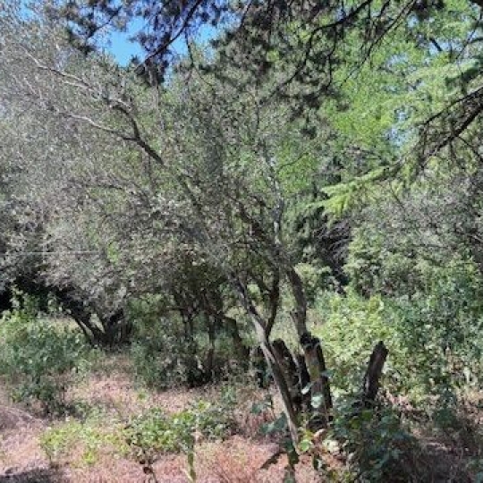 CABINET L'ANTENNE : Maison / Villa | NIMES (30000) | 220.00m2 | 815 000 € 