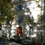  CABINET L'ANTENNE : Appartement | NIMES (30900) | 35 m2 | 475 € 