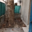  CABINET L'ANTENNE : Apartment | NIMES (30900) | 71 m2 | 920 € 