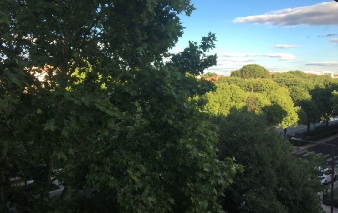 CABINET L'ANTENNE : Appartement | NIMES (30900) | 96 m2 | 1 180 &euro; 