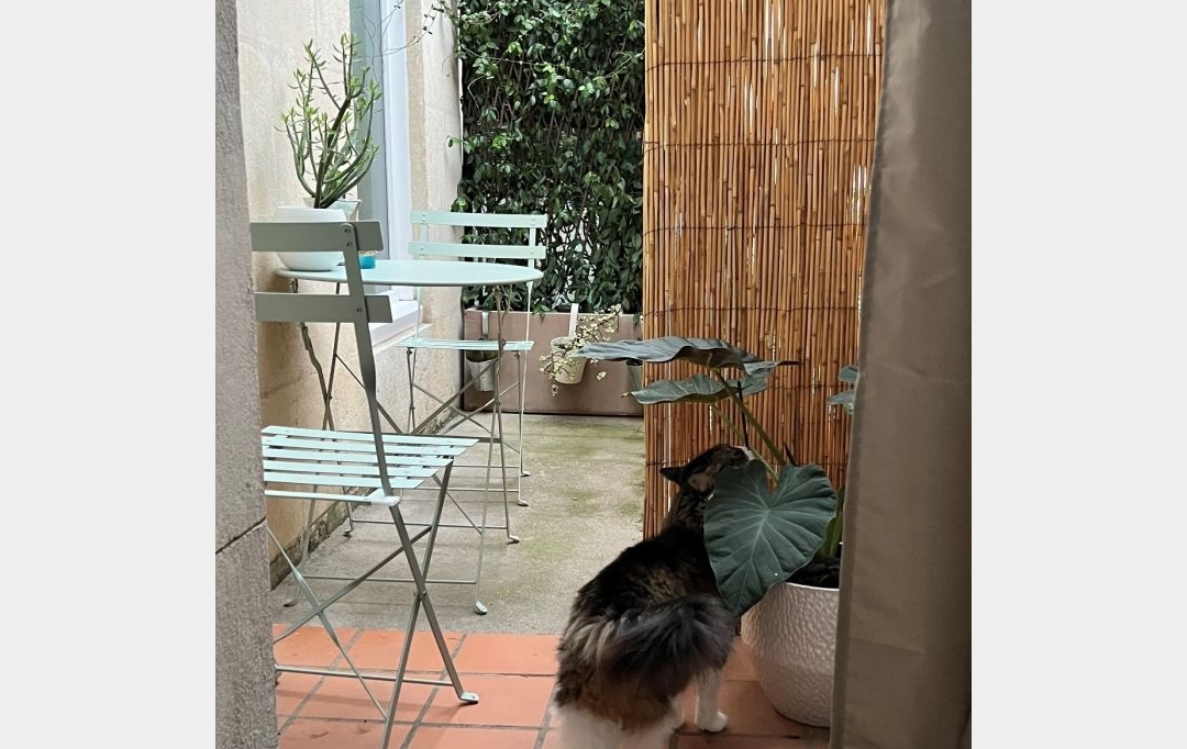 CABINET L'ANTENNE : Apartment | NIMES (30900) | 115 m2 | 385 000 € 