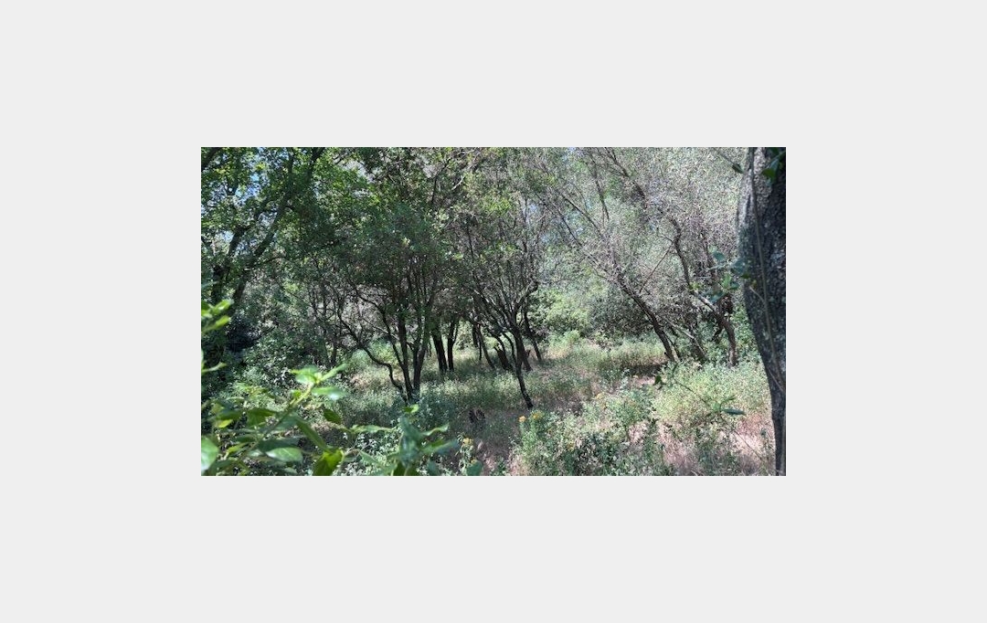 CABINET L'ANTENNE : Maison / Villa | NIMES (30000) | 220 m2 | 815 000 € 