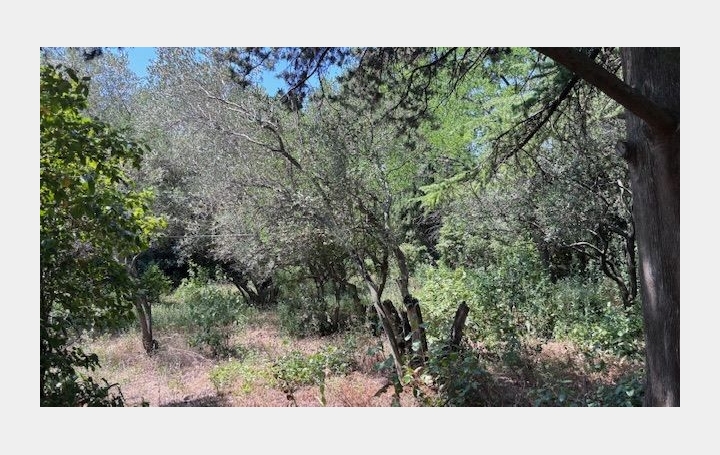 Maison   NIMES  220 m2 815 000 € 